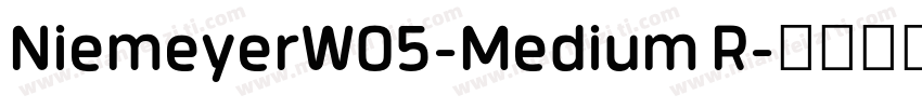 NiemeyerW05-Medium R字体转换